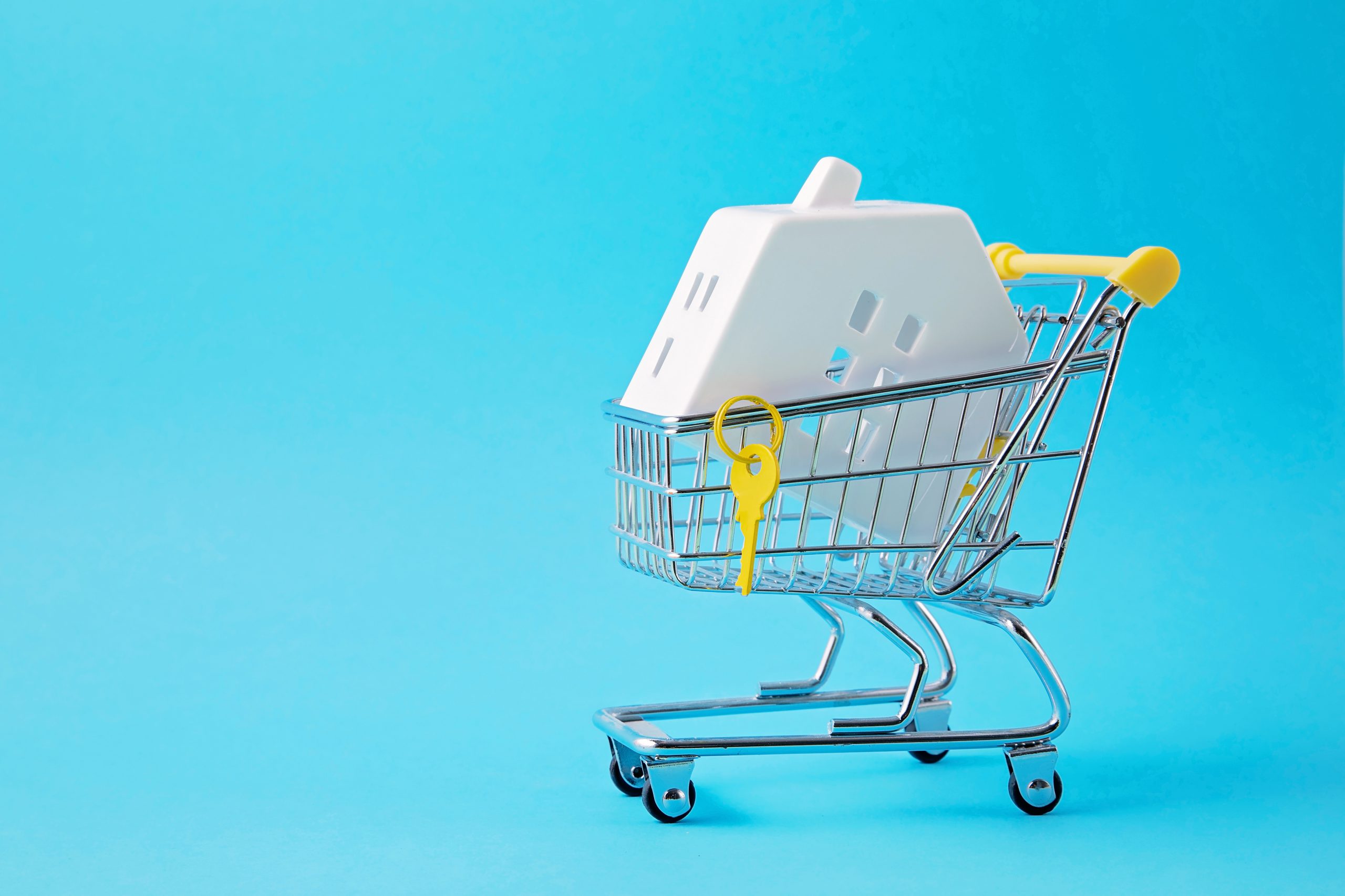 casa in un carrello della spesa