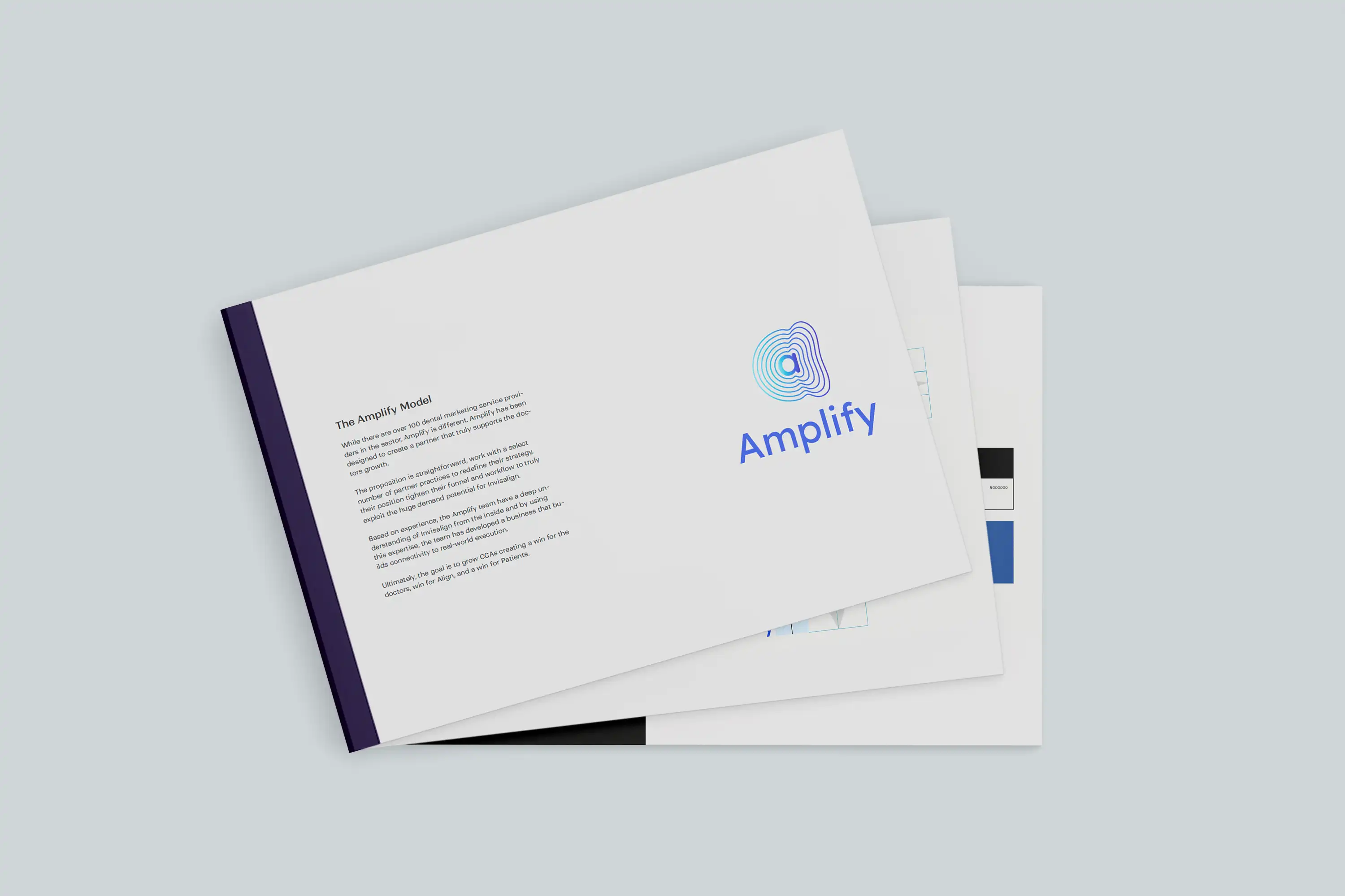 amplify - brand guideline